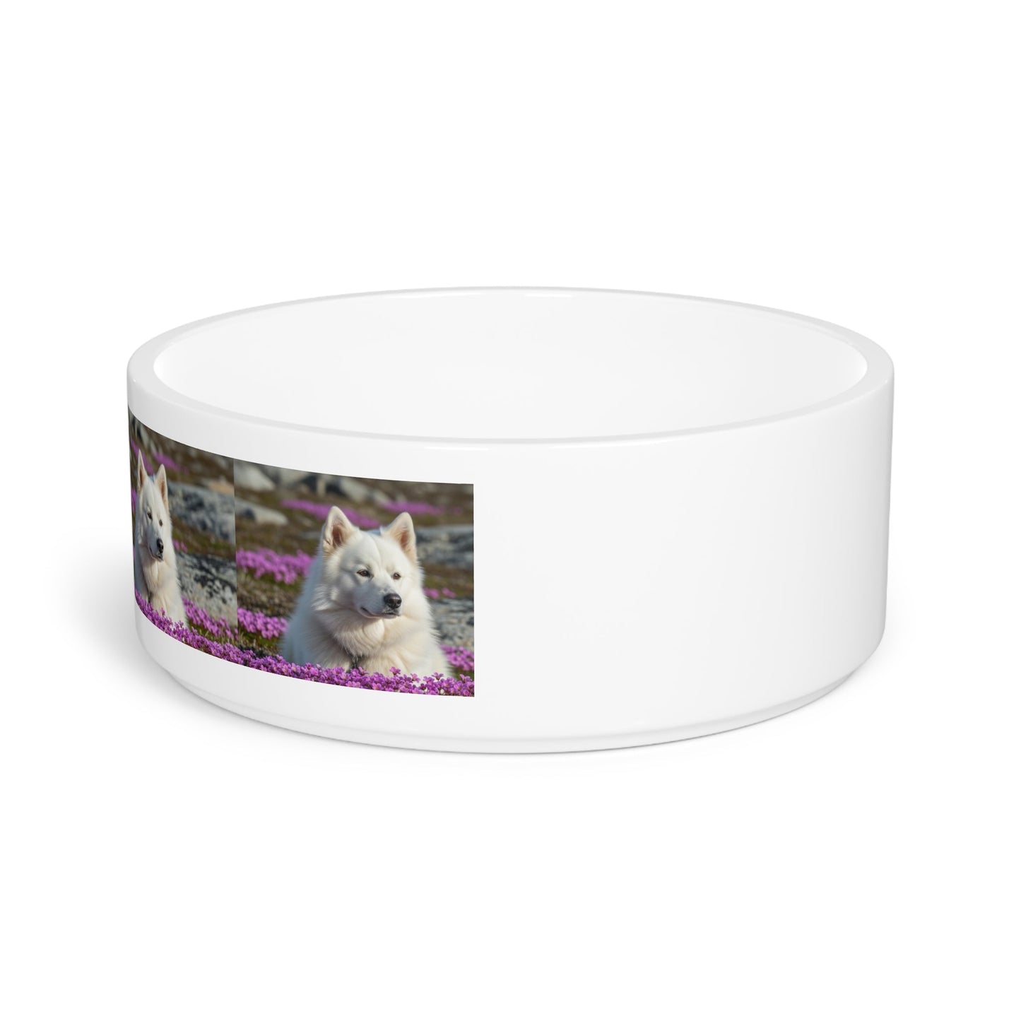Canadian Eskimo Dog Pet Bowl