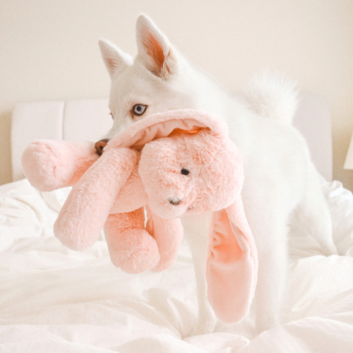 Ruby Maxi Plushie - Pet Toy - Elise Galleria