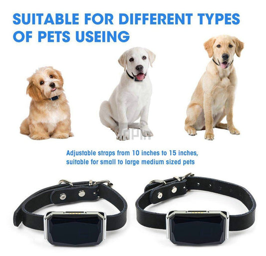 Pro GPS Pet Tracker for Dogs and Cats with Real Time Alerts
