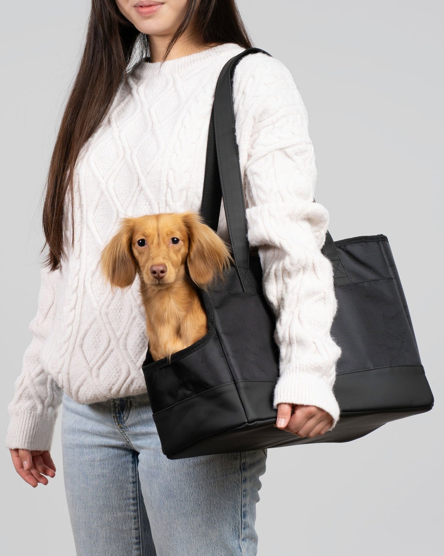 Pet Tote Bag All-Black Travel Carrier