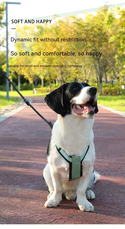 Dog Hand Holding Rope Chest Strap Reflective Vest