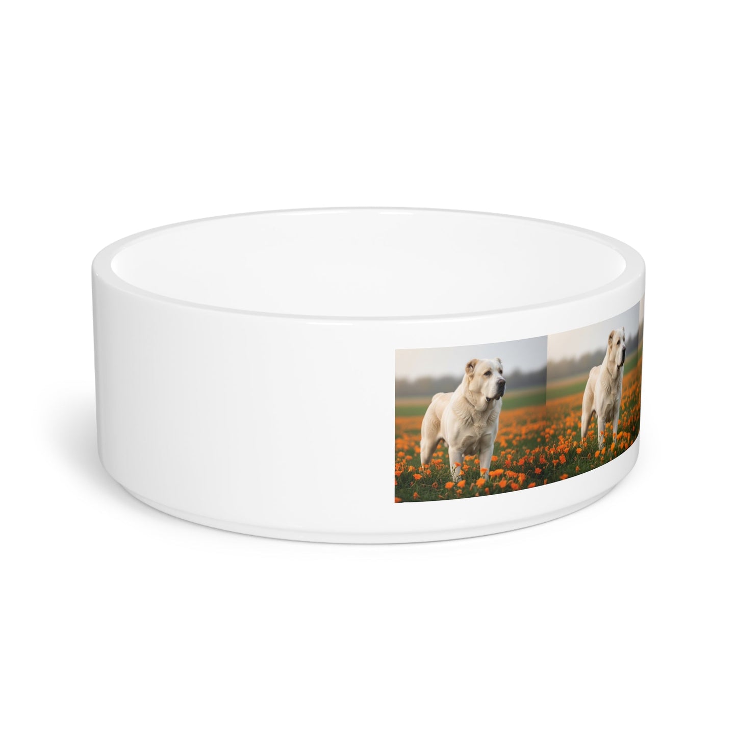 Central Asian Shepherd Dog Pet Bowl