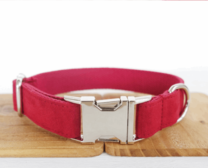 Pet Traction Dog Collar Adjustable Dog Walking Gear Premium