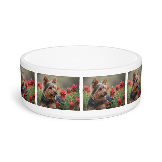Silky Terrier Pet Bowl