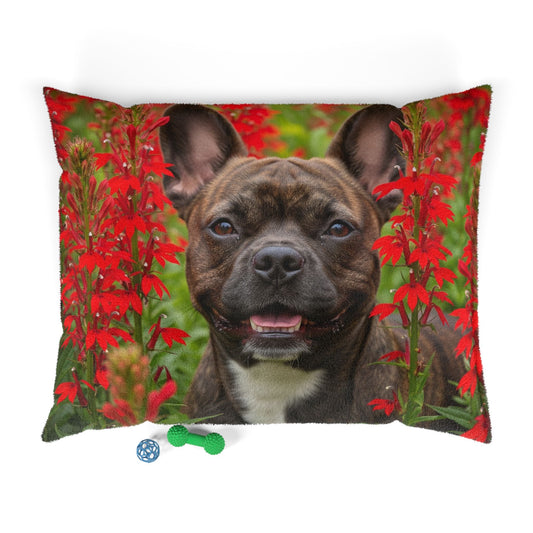 Frenchton Pet Bed