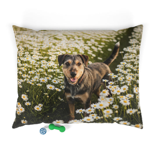 Danish-Swedish Farmdog Pet Bed