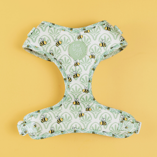 Little Honey Adjustable Harness Dog Harness | Purrfect Pet