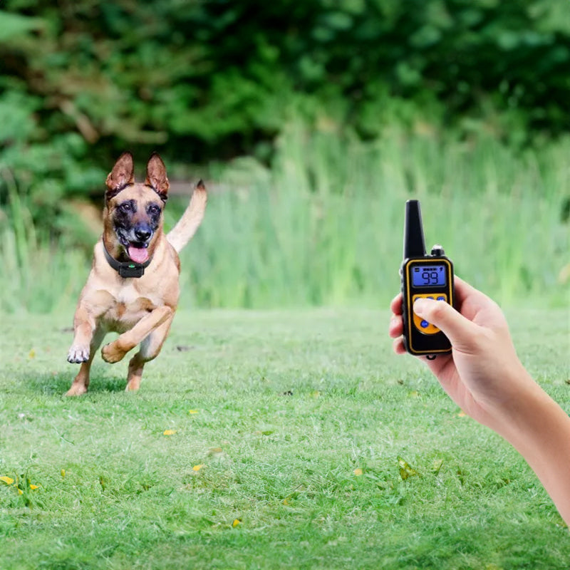 Hand holding a remote for vibration anti bark collar for dogs with a happy dog running in a grassy area