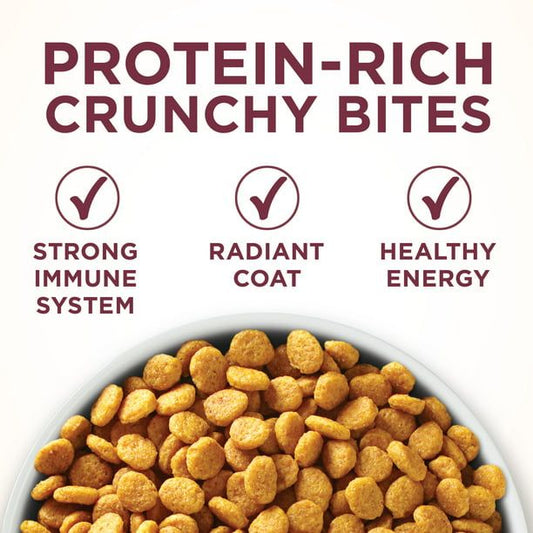 Purina One +Plus Urinary Tract Health Formula Dry Cat Food, 3.5 lb Bag