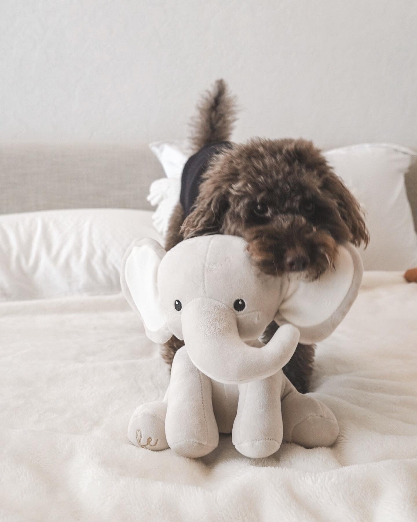 Ella Plushie - Pet Toy - Elise Galleria