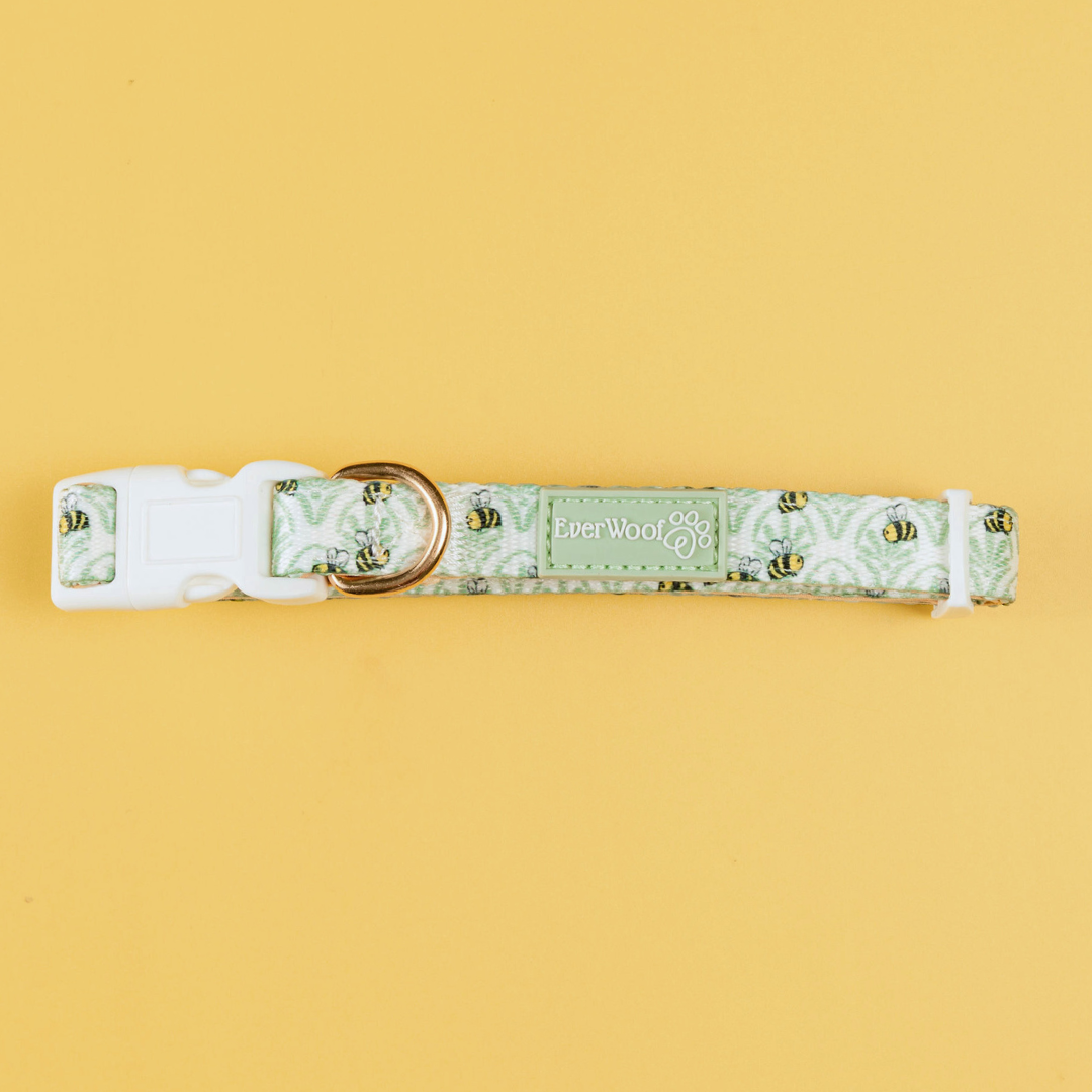 Little Honey Padded Neoprene Dog Collar Adjustable Polyester: Mint green bee print, white buckle, and gold D-ring.