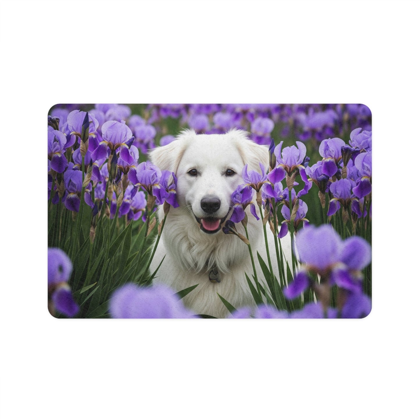 Pet Food Mat (12x18) - Croatian Sheepdog