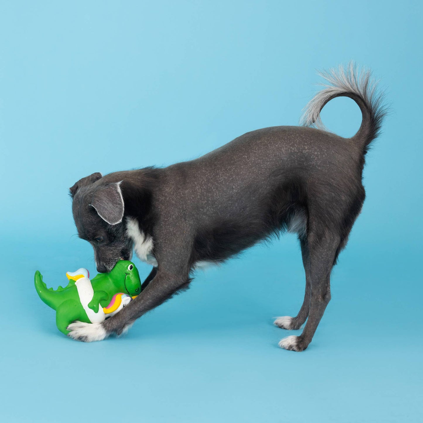 Pool Side Unicorn Floaty Rex Latex Dog Toy