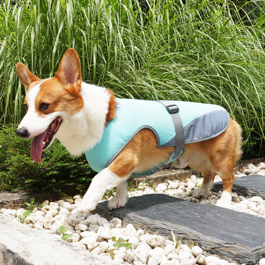 Pet Dog Clothing Cooling Summer Vest For Hot Heat Dog Pet - main product image