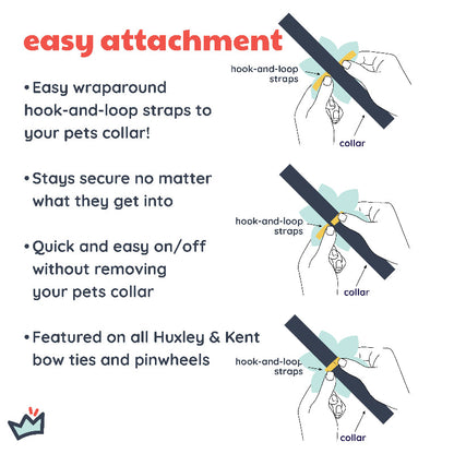 Cinco Fiesta Pinwheel Pet Collar Attachment - 2 Sizes
