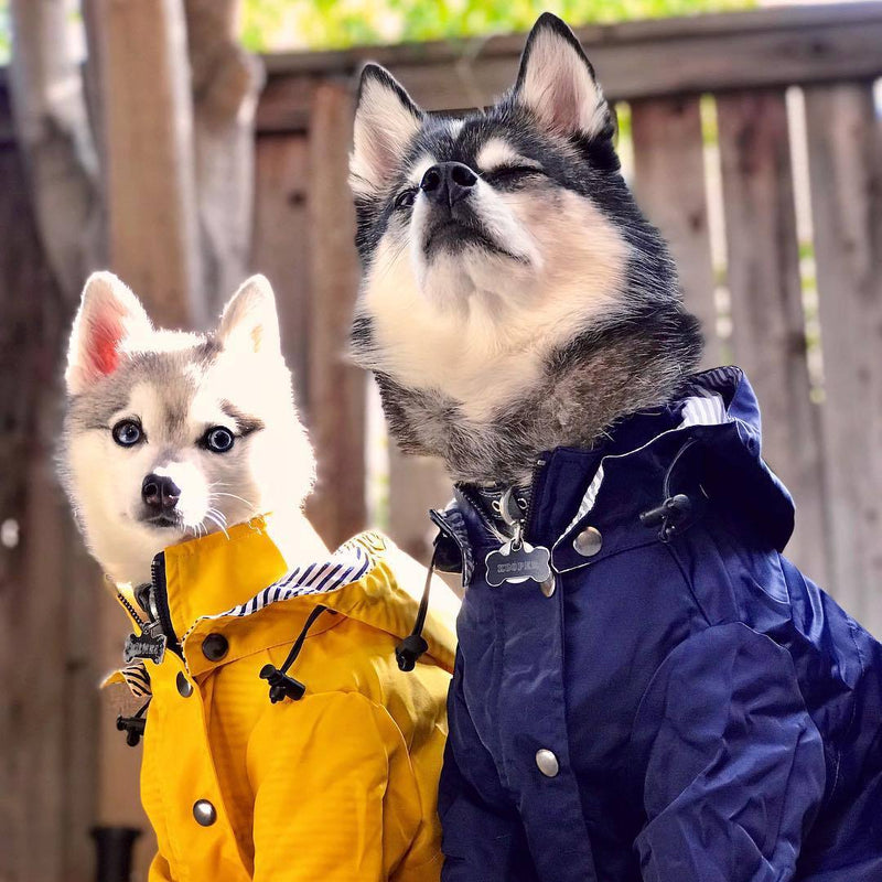 Windproof And Rainproof British Retro Thick Dog Raincoat Dog Pet Submachine Jacket - Purrfect Pet Kingdom