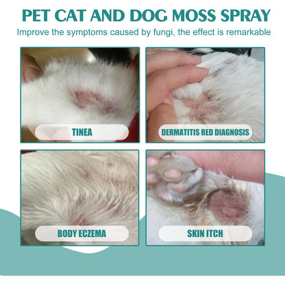 Pet Skin Medicine Spray, Cats And Dogs To Remove Mite Skin