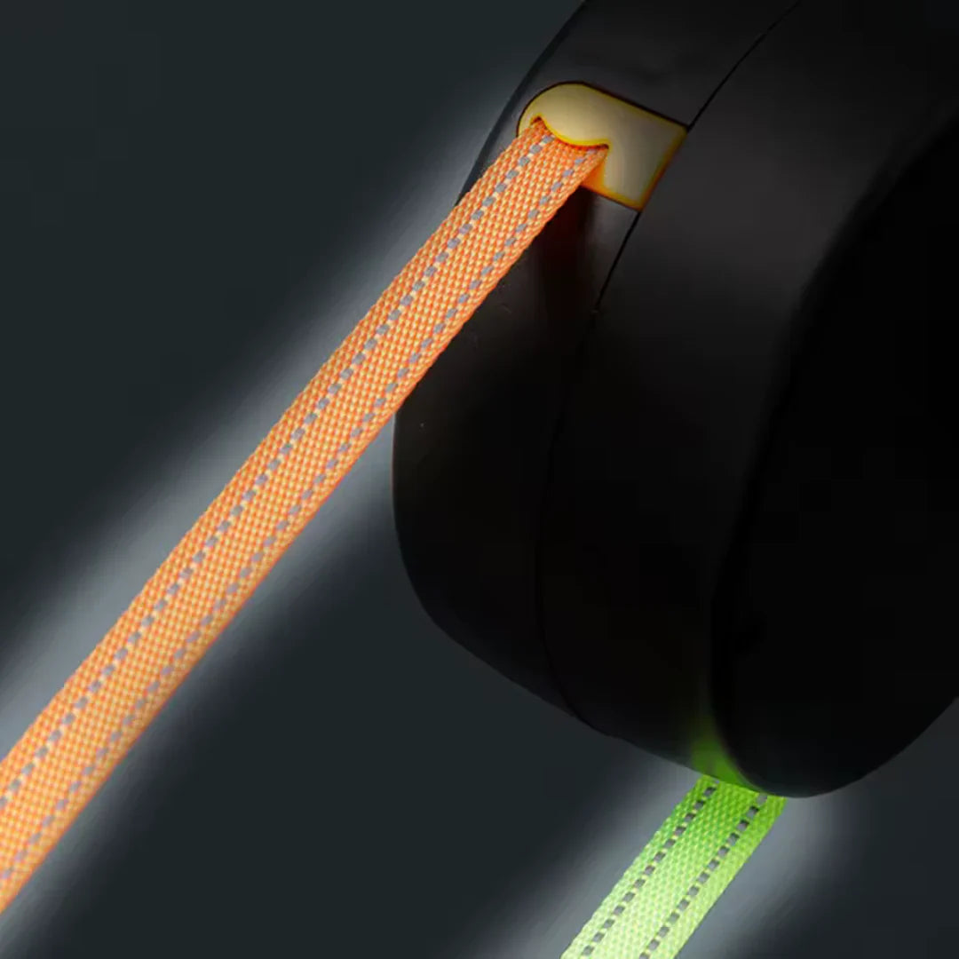 Extendable Dual Leash