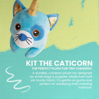 Kit the Caticorn