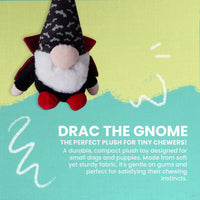 Drac the Gnome
