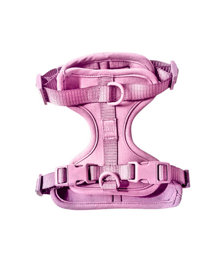 Harness - Pet Collars & Harnesses - Come Here Buddy