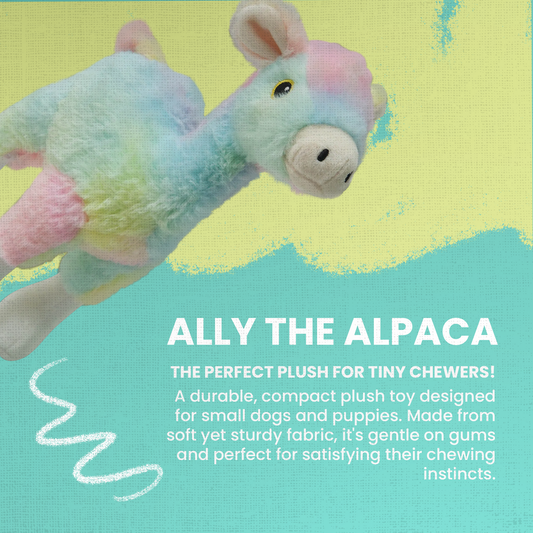Ally the Alpaca