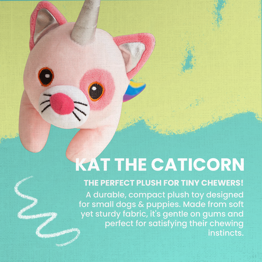 Kat the Caticorn