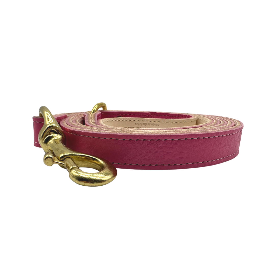 Dog Leash Plain Leather Leashes for Daily Use for Comfort - size and texture image for dog leash