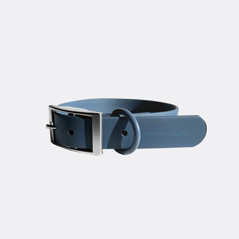 Everyday Collar - Purrfect Pet Kingdom