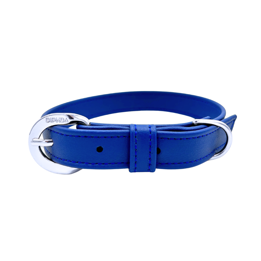 Galactic Blue Cactus Collar - Purrfect Pet Kingdom