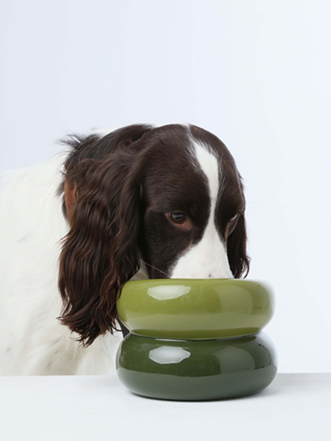 Purrfect Kingdom™ - Adjustable Green Pet Feeding Base