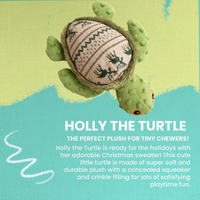 Holly the Turtle