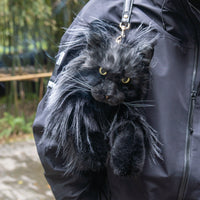 Maine Coon Cat Backpack ? Realistic Cat Stylish Daypack
