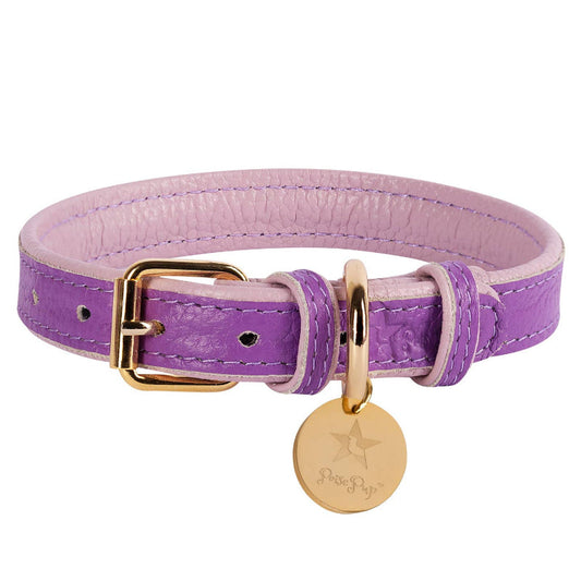 Lavish Lavender Luxury Dog Collar