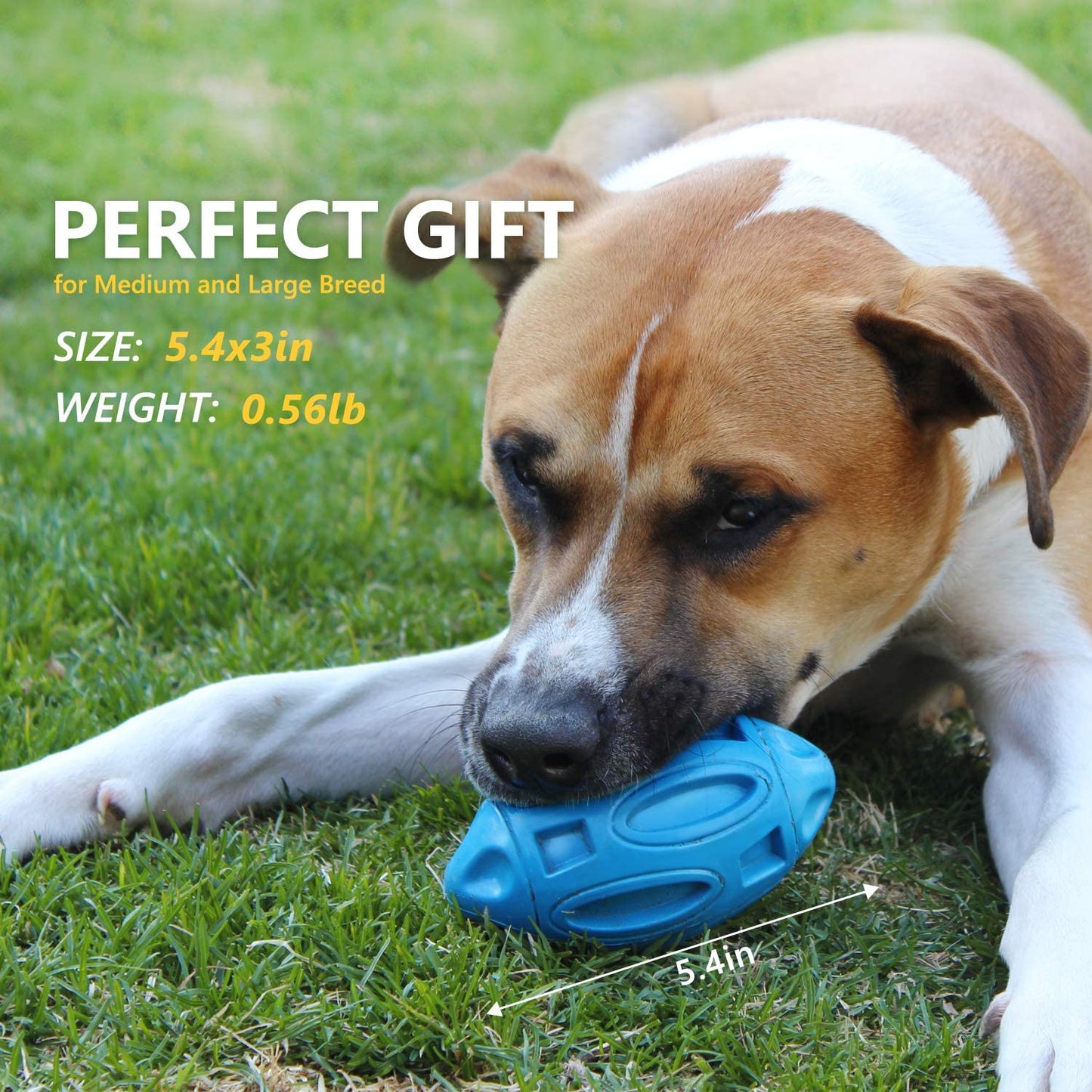 Pet Supplies Dog Toys Rubber Sounding Rugby Wear-Resistant