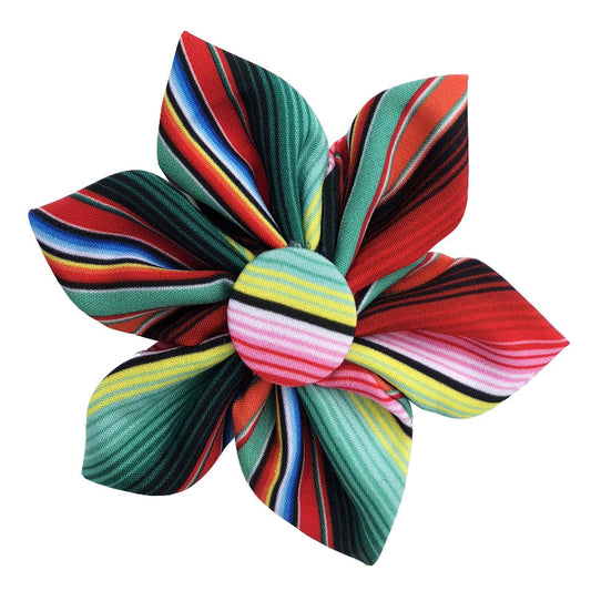 Serape Stripe Colorful Pinwheel Pet Collar Attachment -2 Sizes