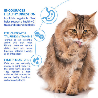Cat Treats Hairball Control Chicken 2 Oz Inaba 🐱