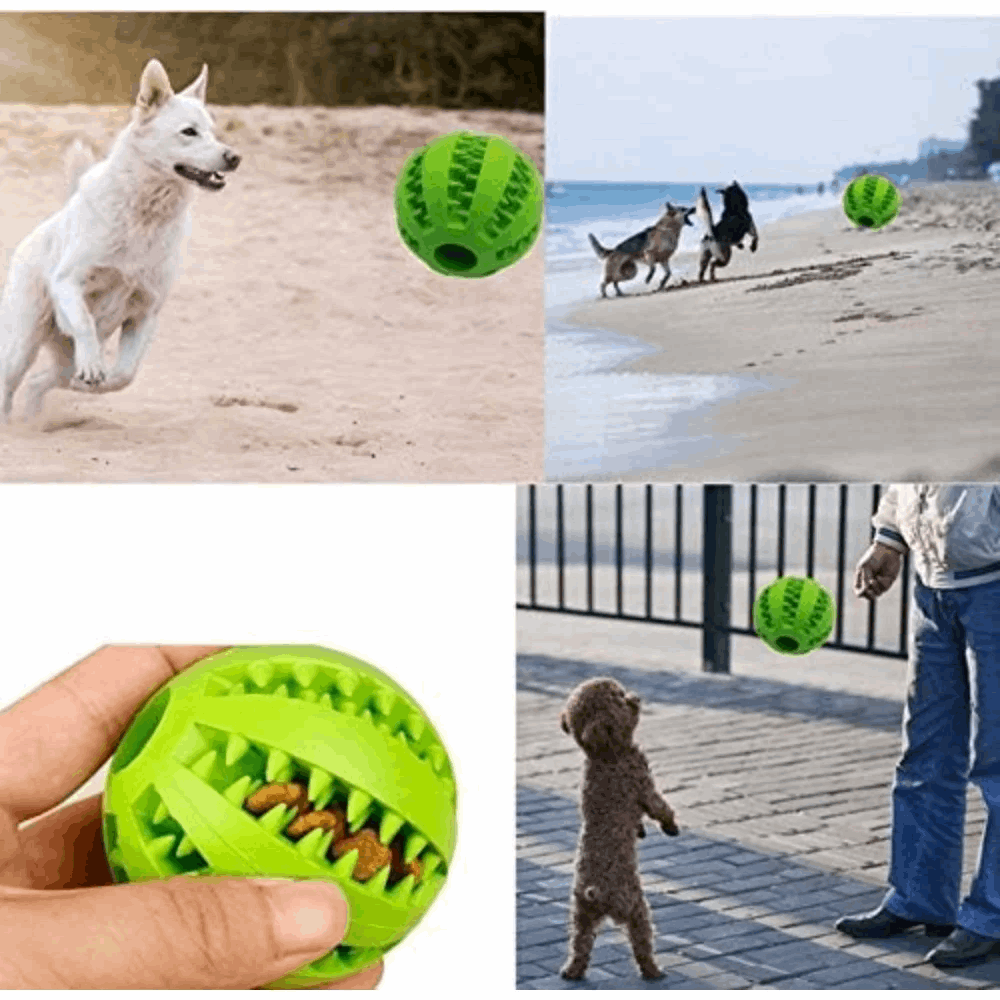 Dog Treat Toy Ball, Dog Tooth Cleaning Toy, Interactive toys