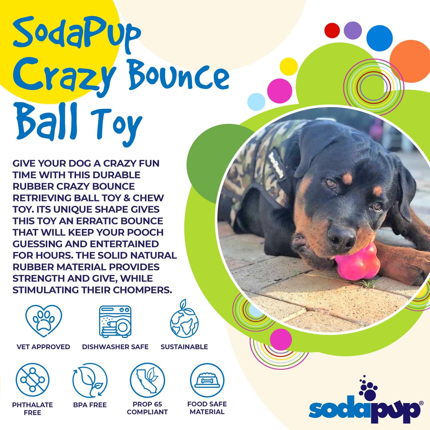 Crazy Bounce Rubber Dog Chew Toy for Power Chewers | Retrieving