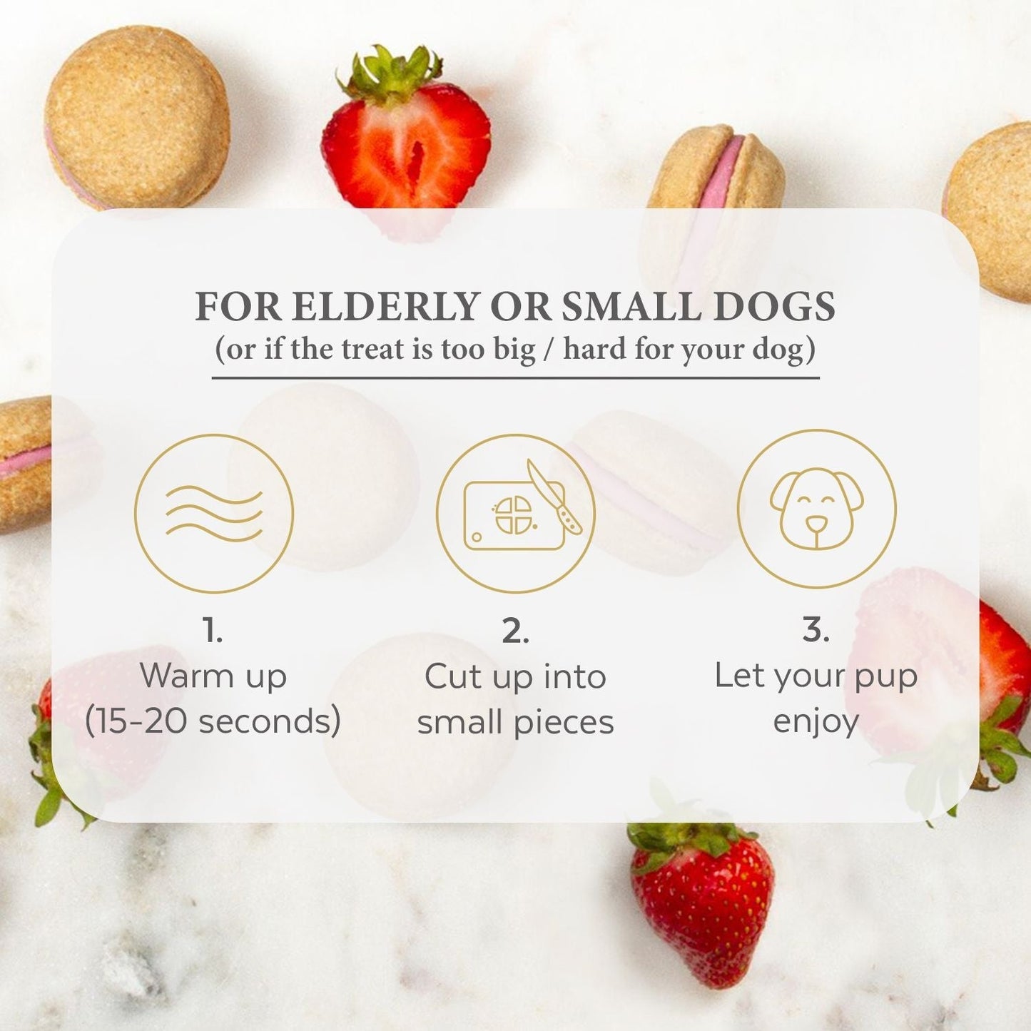 Bonne et Filou Dog Macarons (Box of 6)