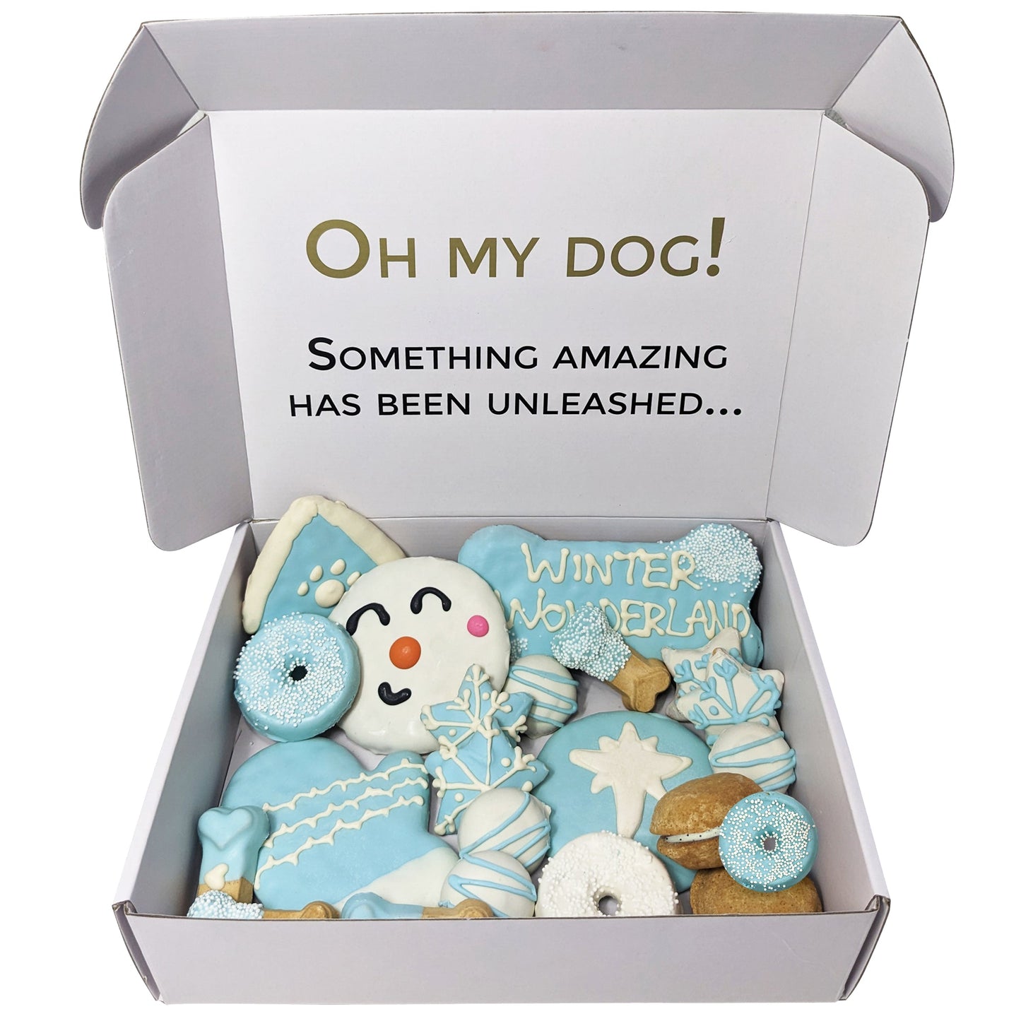 Winter Themed Dog Treats Gift Box | Purrfect Pet Kingdom