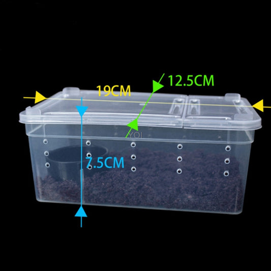 Reptile Feeding Box - Transparent Plastic Habitat Tank