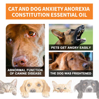 Cat And Dog Care Essence, Pet Cat And Dog Enhance Health Eat