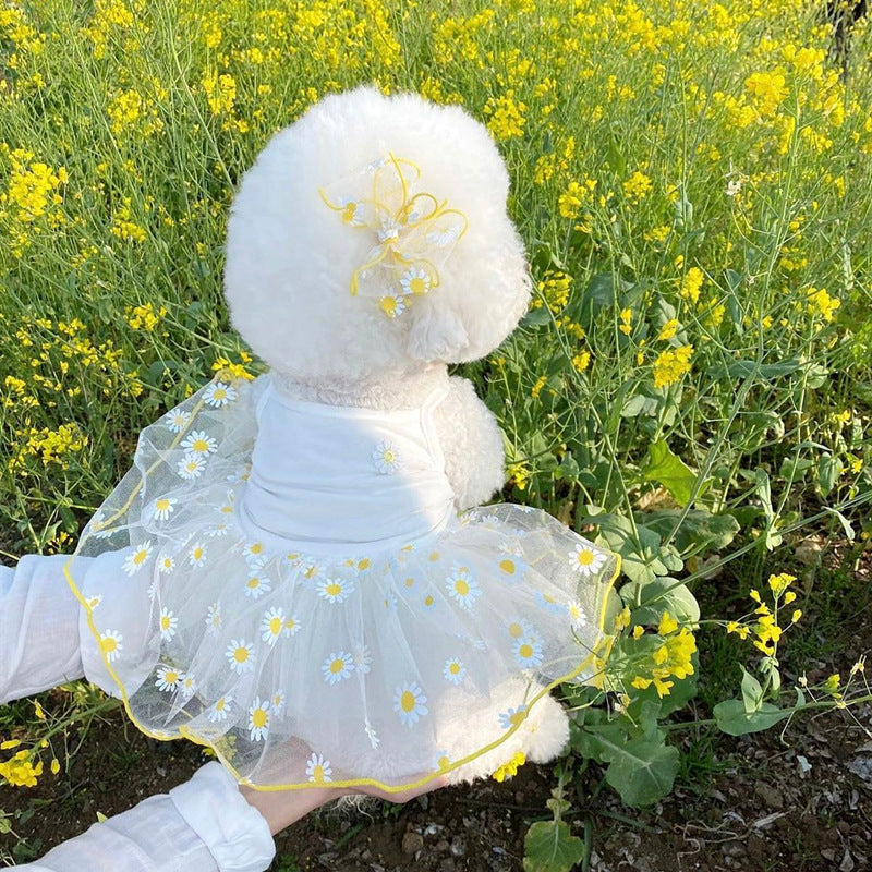 Cat Clothes Pet Yarn Skirt Teddy Pomeranian Bears VIP Yorkshire Schnauzer Small Dog Sheer