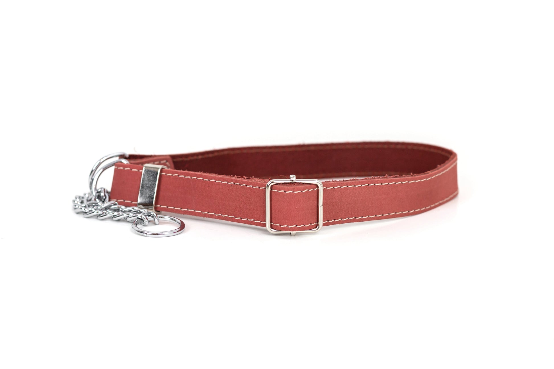 Martingale Coral Reef Leather Dog Collar - Leather Dog Collar - Euro - Dog Collars and Leads