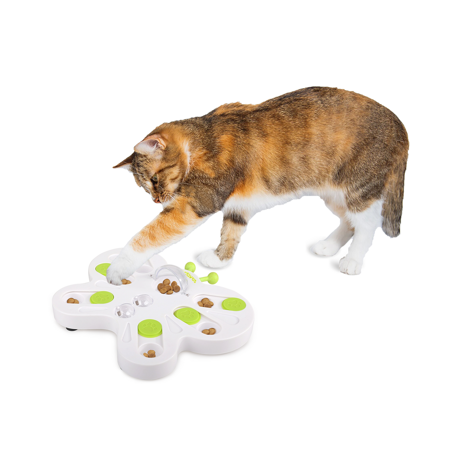 Interactives - Cat Toys - Interactive Cat Treat Puzzle Slow