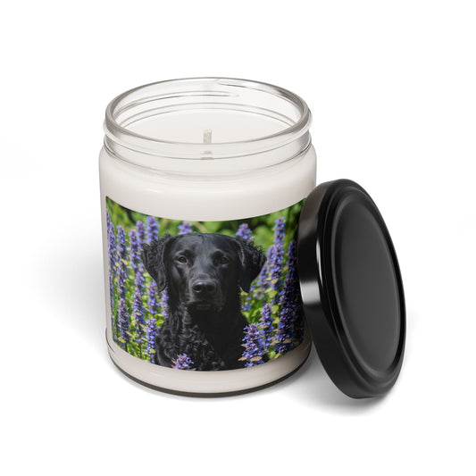 Curly Coated Retriever- Scented Soy Candle, 9oz