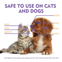 Pet Skin Relief Spray, Relieves Dog And Cat Skin Itchiness
