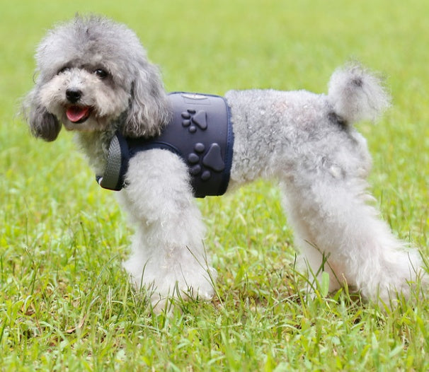 Dog vest type hauling rope