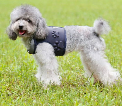 Dog vest type hauling rope